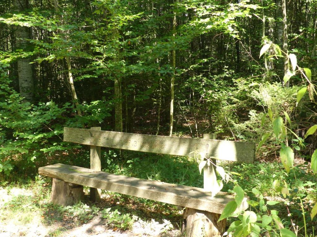 banc-764
