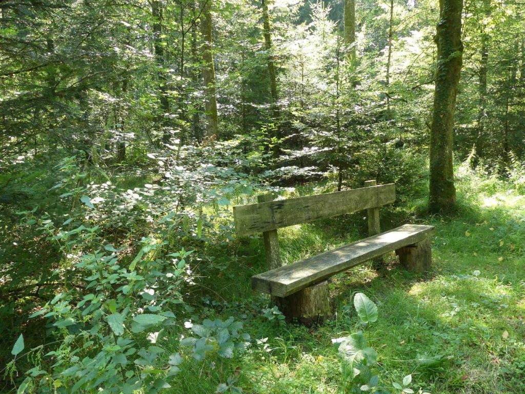 banc-765