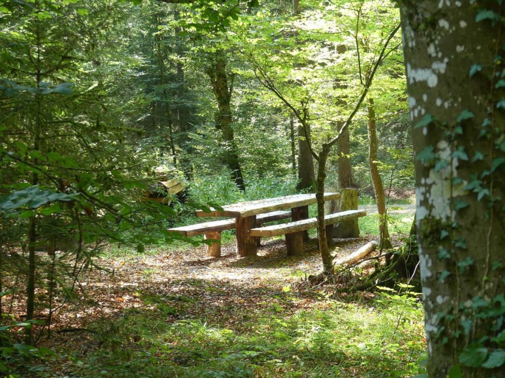banc-766