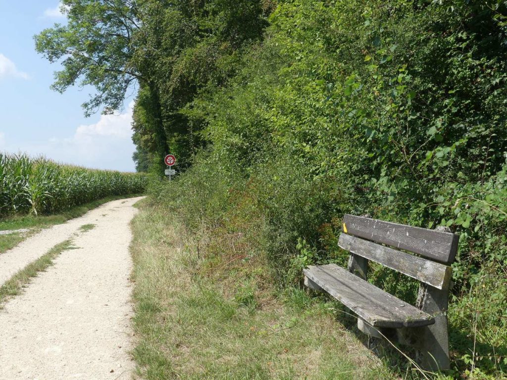 banc-769
