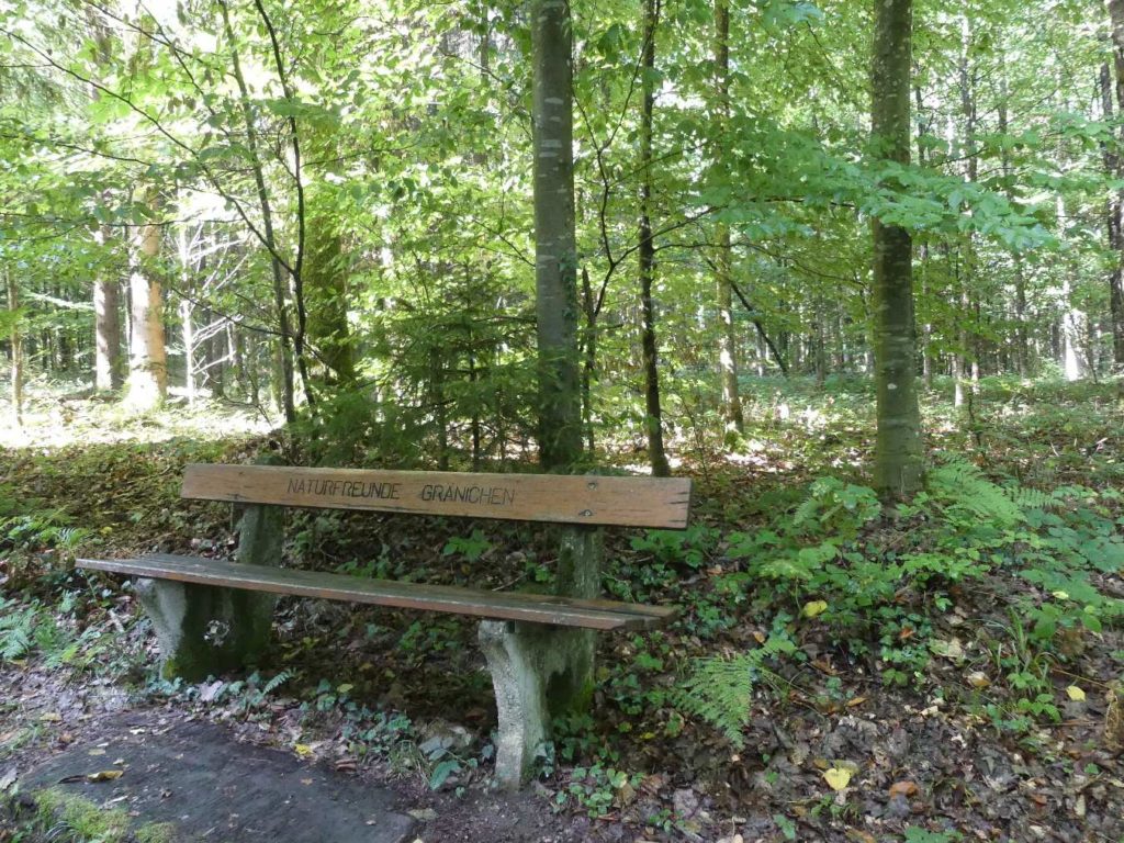 banc-776