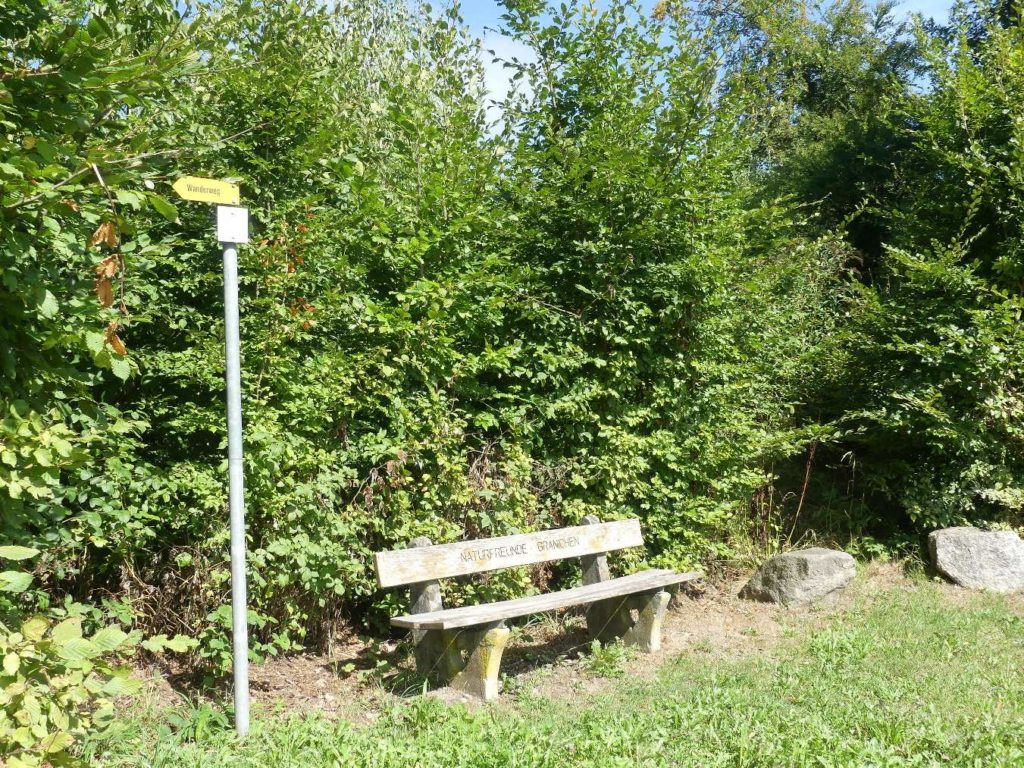 banc-779