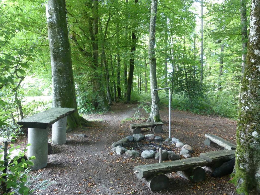 banc-784
