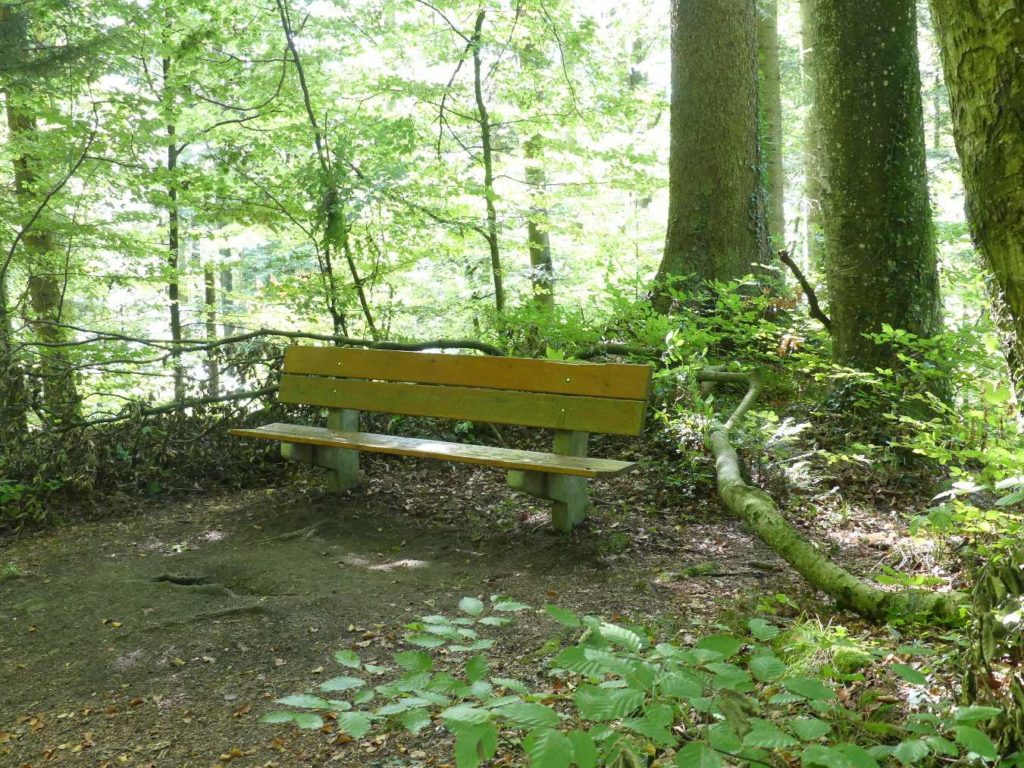 banc-785