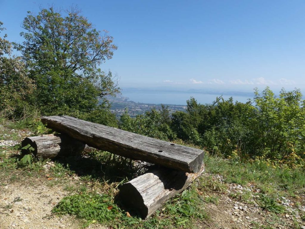 banc-786