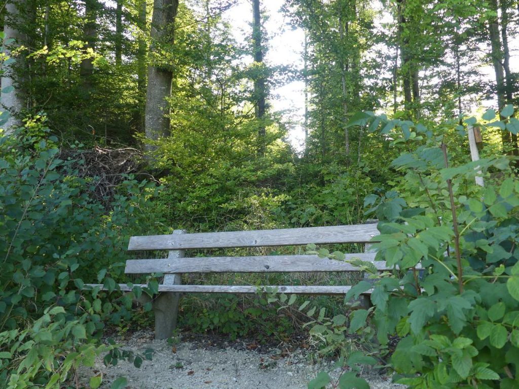 banc-788