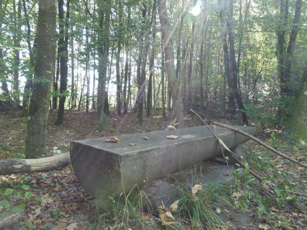 banc-789
