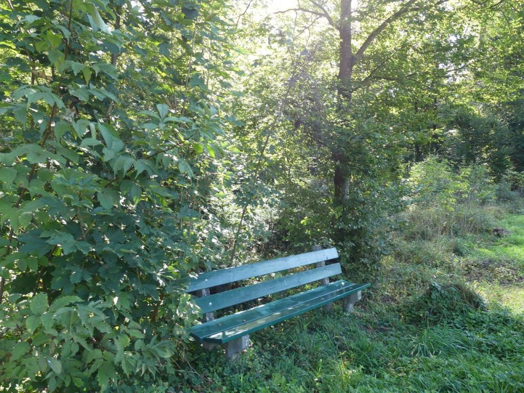 banc-790