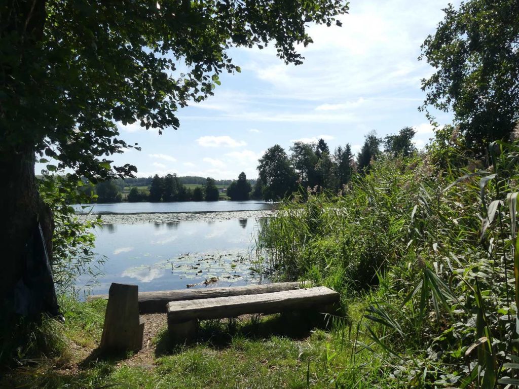 banc-796