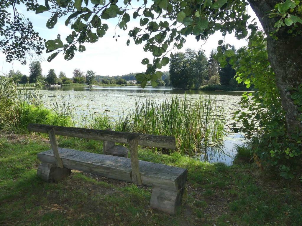banc-797