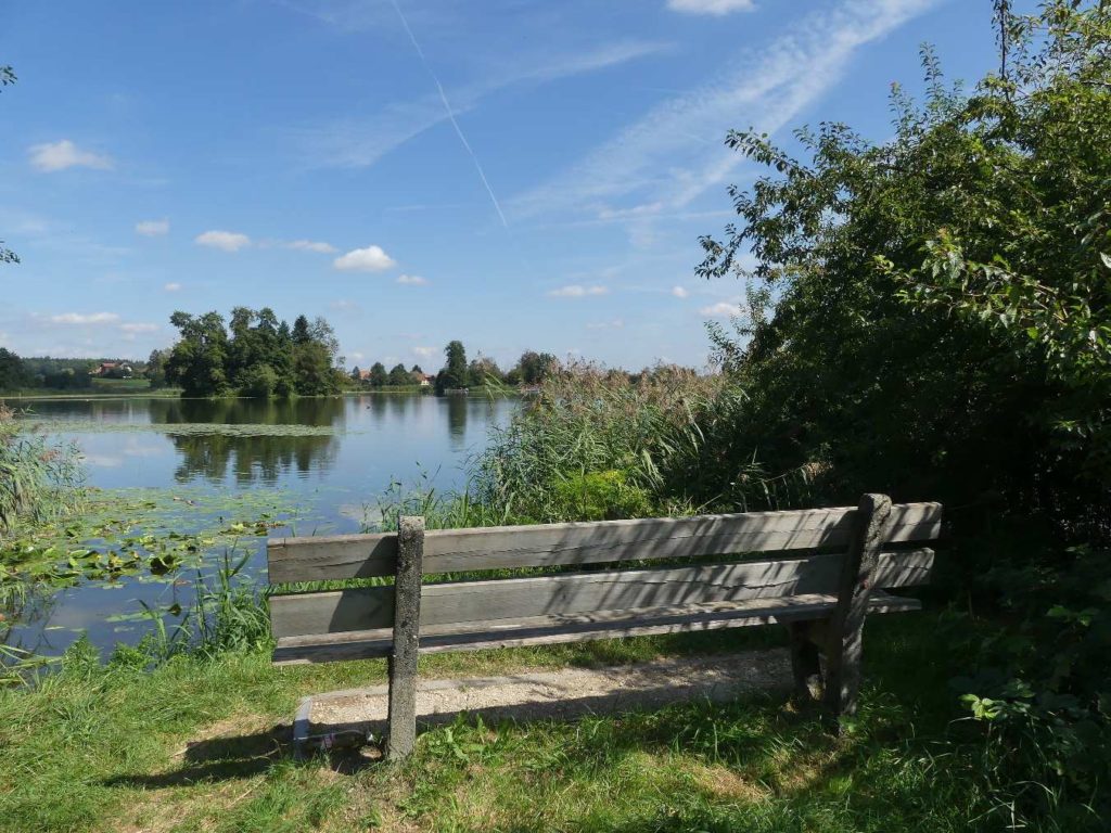 banc-798