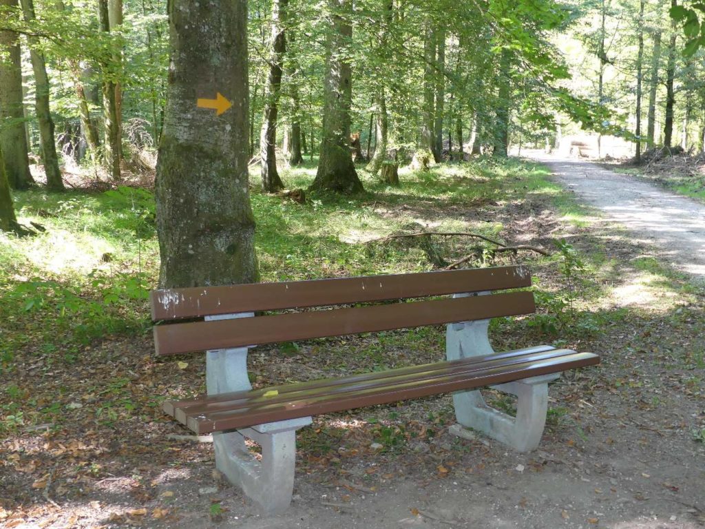 banc-800