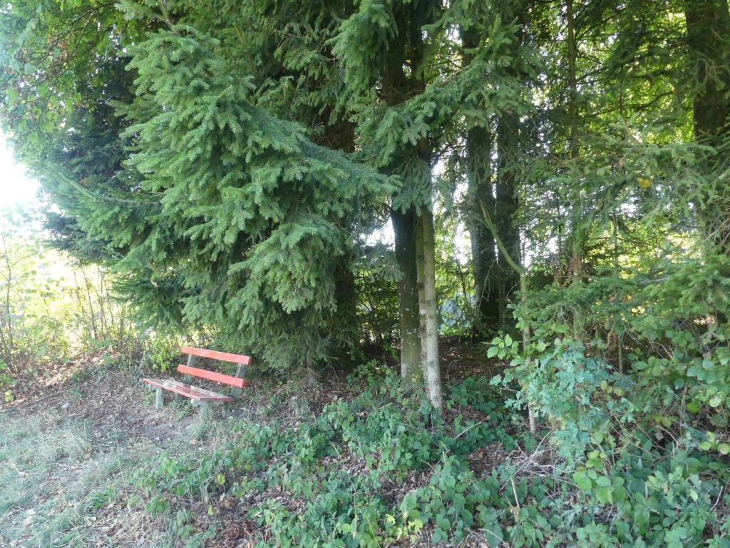 banc-807