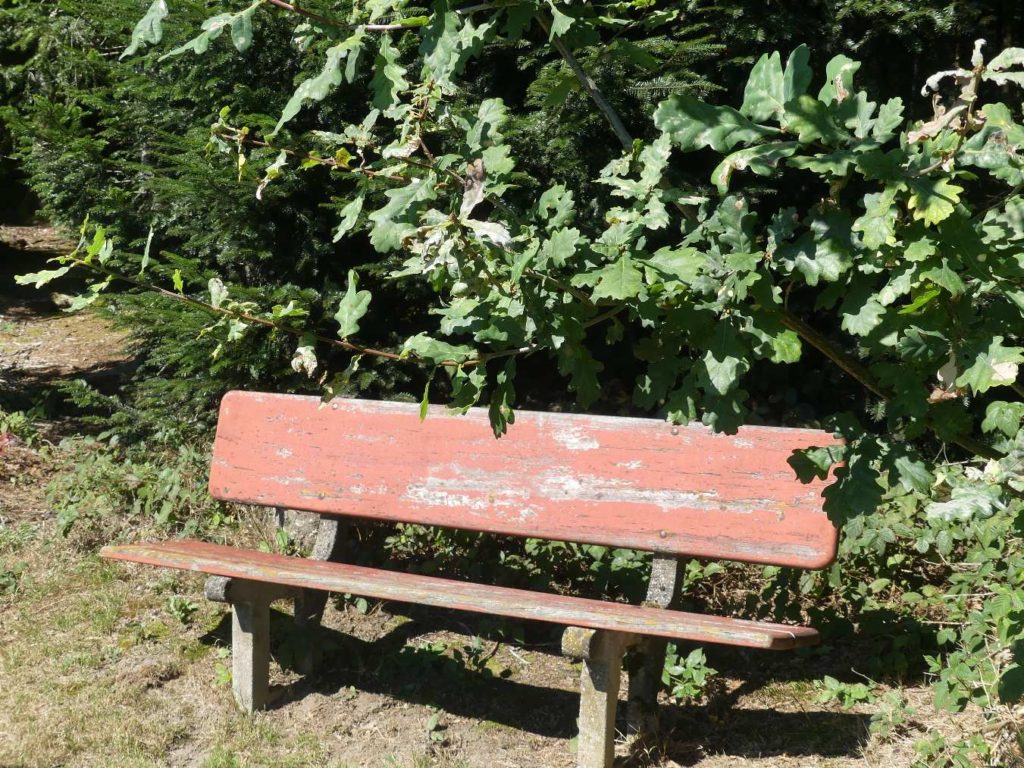 banc-813