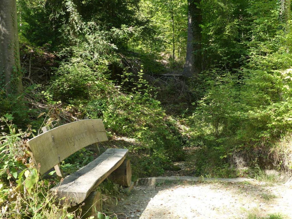 banc-825