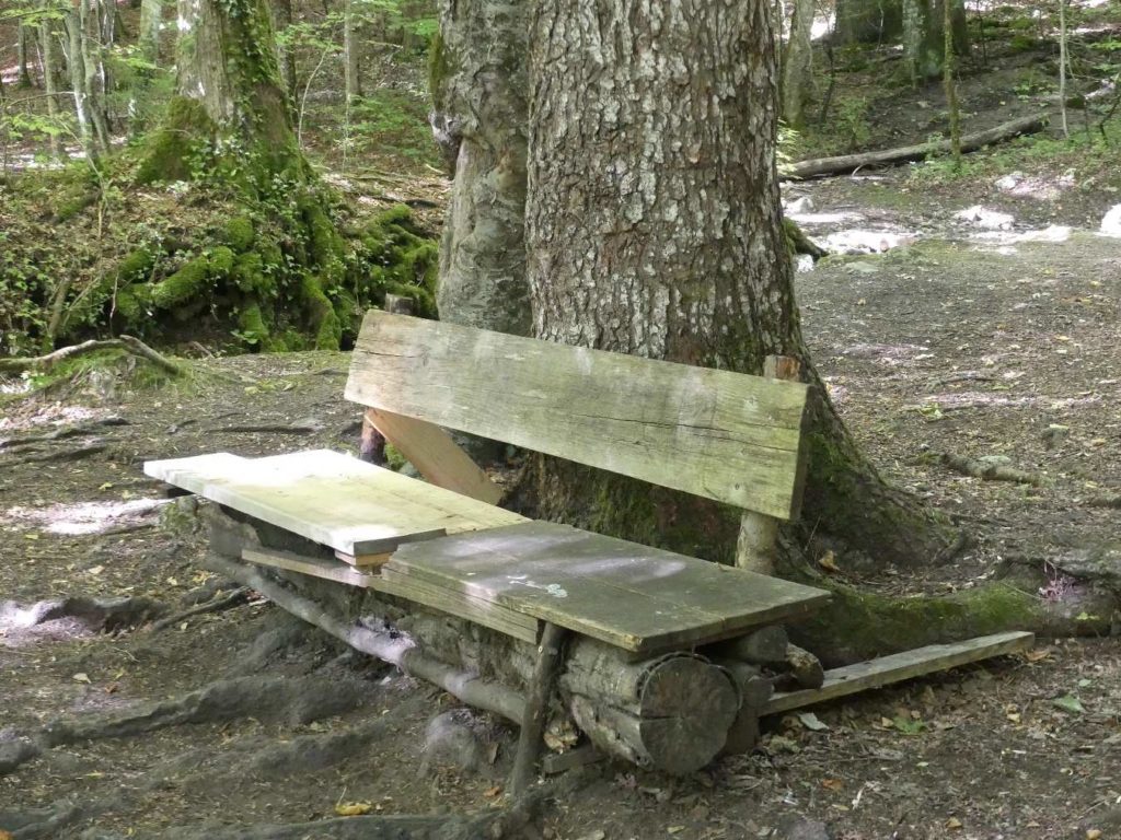 banc-826