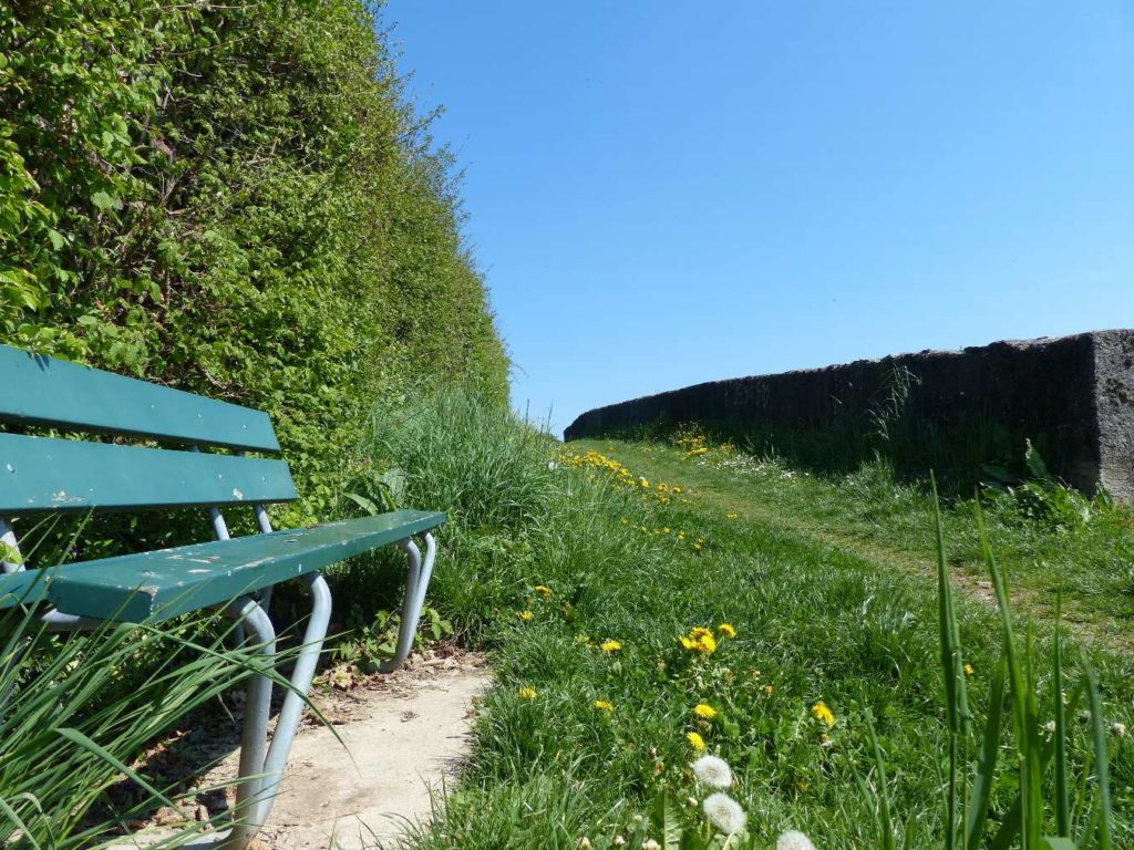 banc-83
