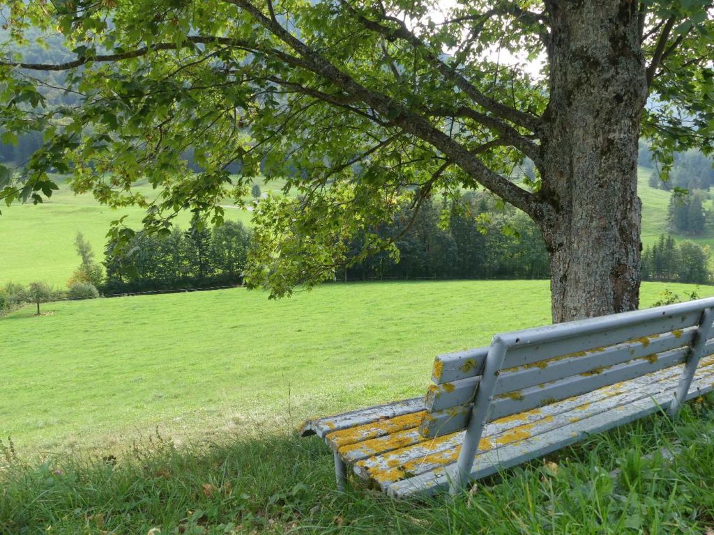 banc-832