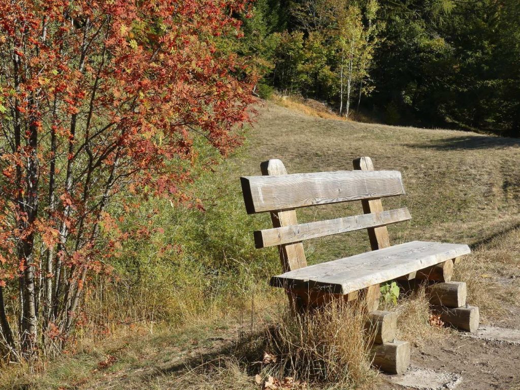 banc-850