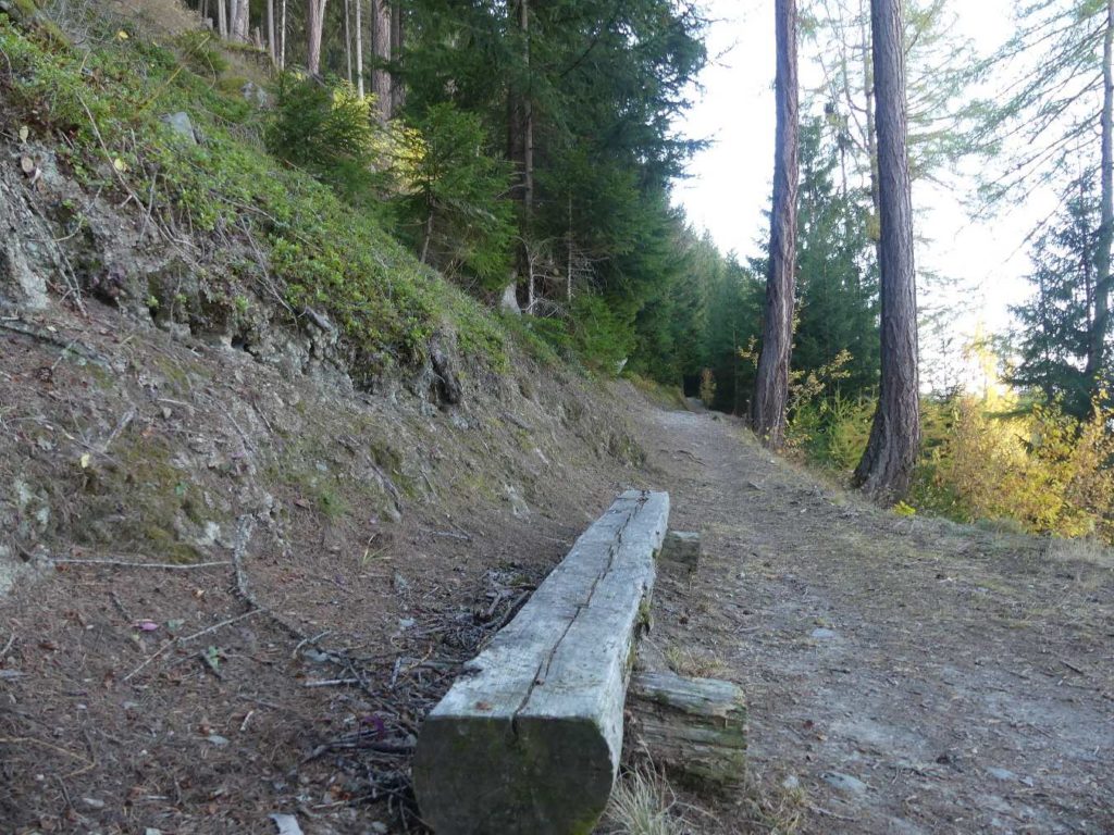 banc-875