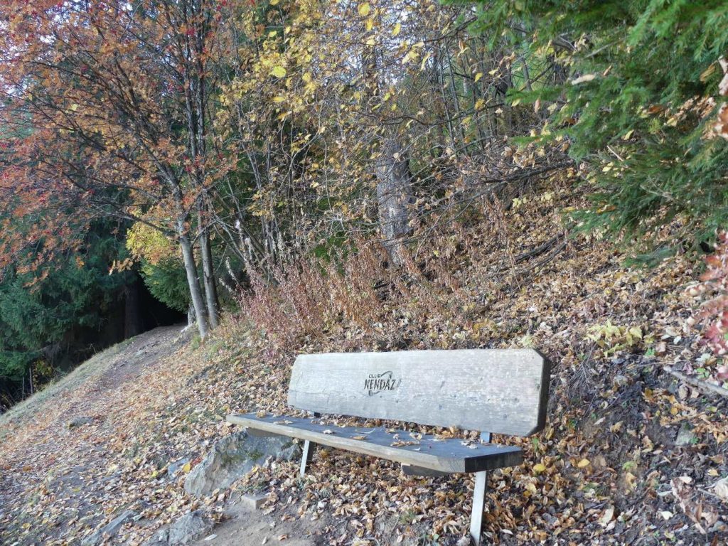 banc-876