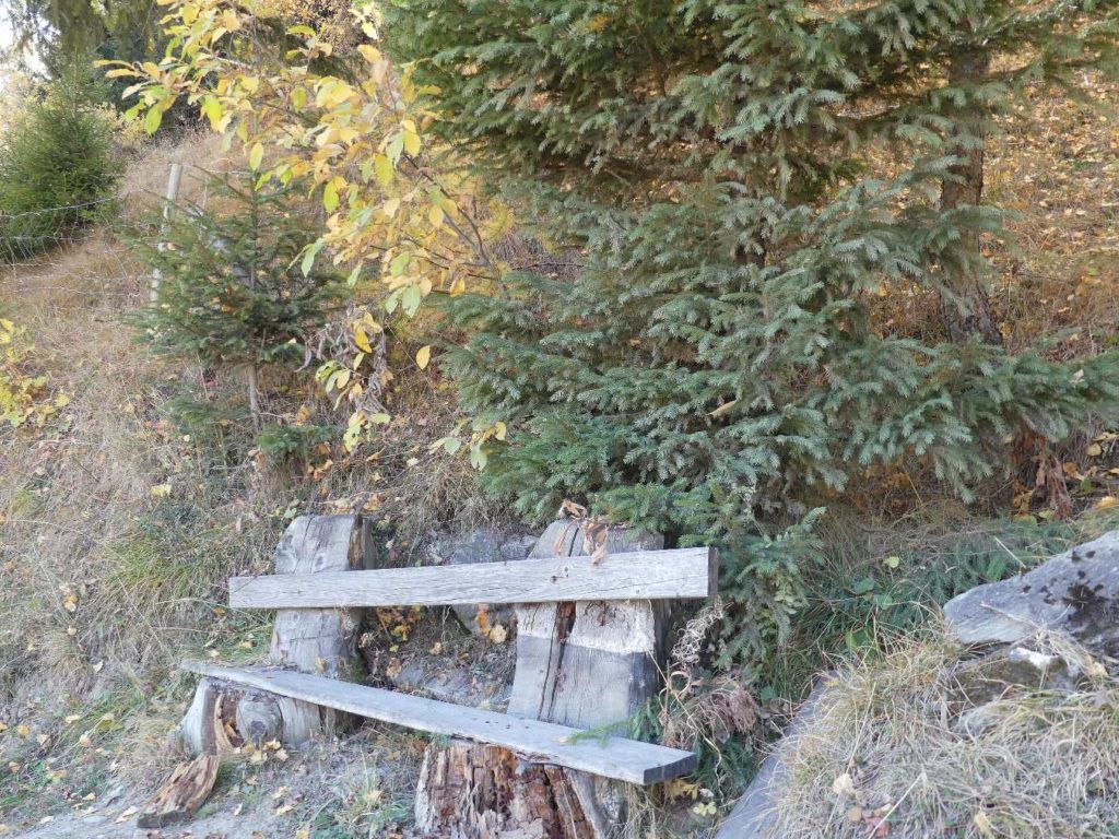 banc-887