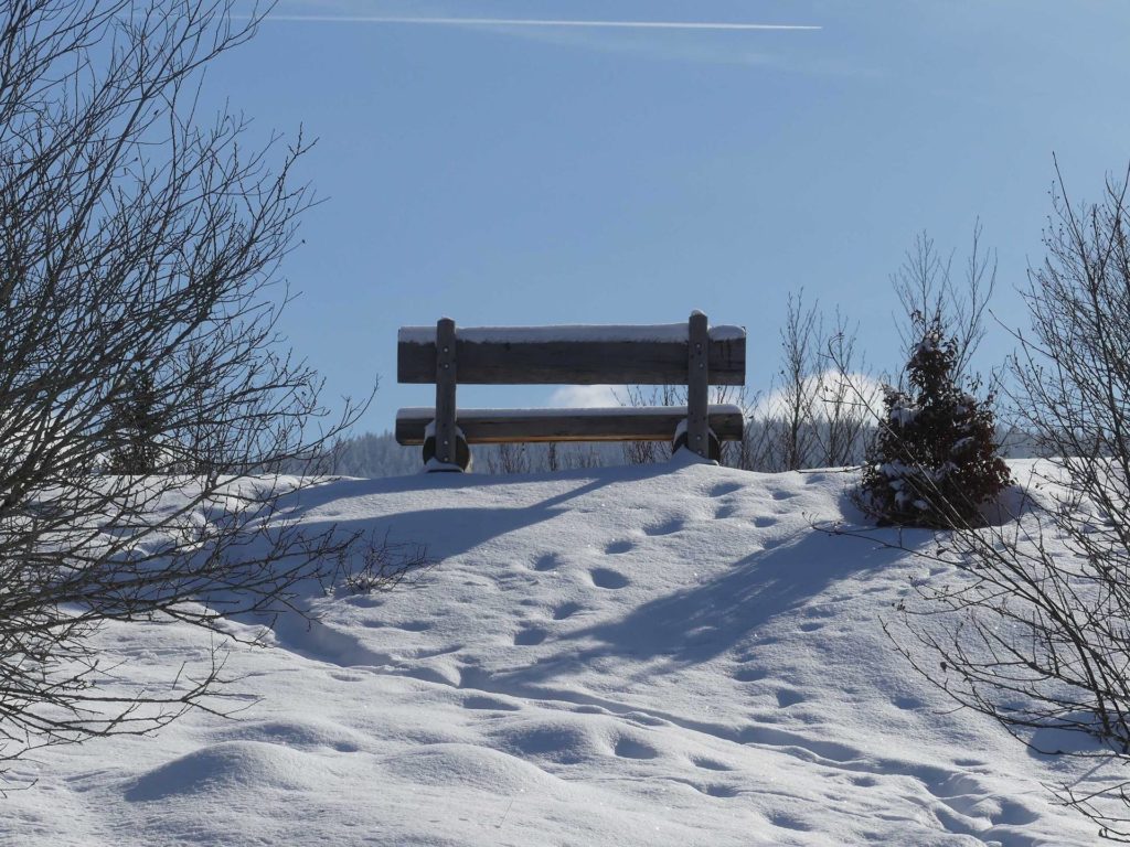 banc-889