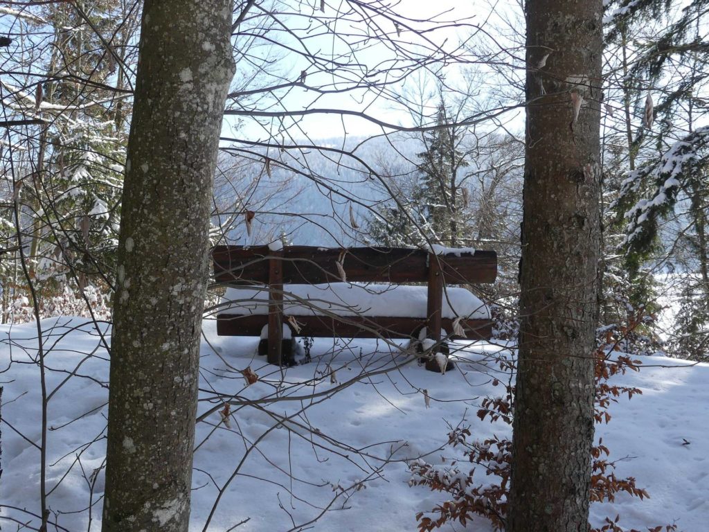 banc-892