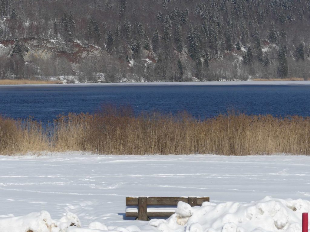 banc-895