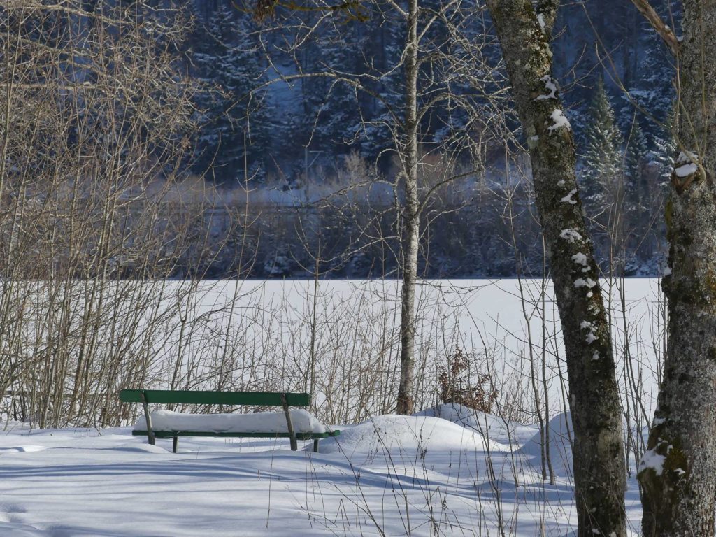banc-898