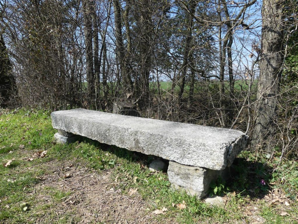 banc-919