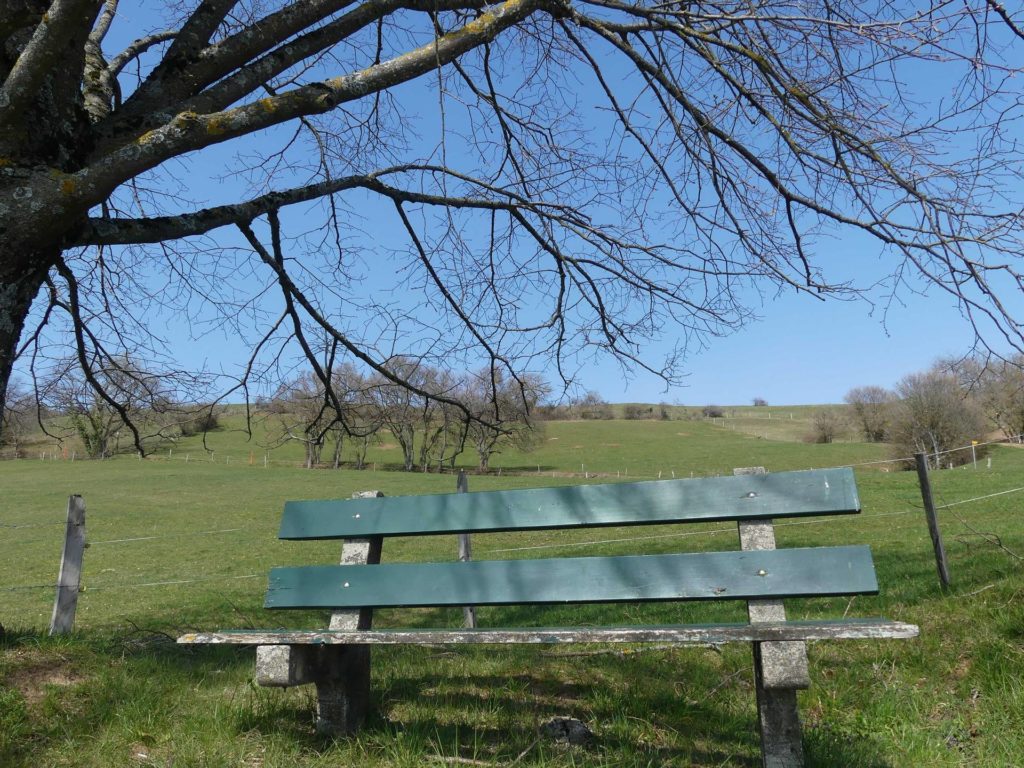 banc-925