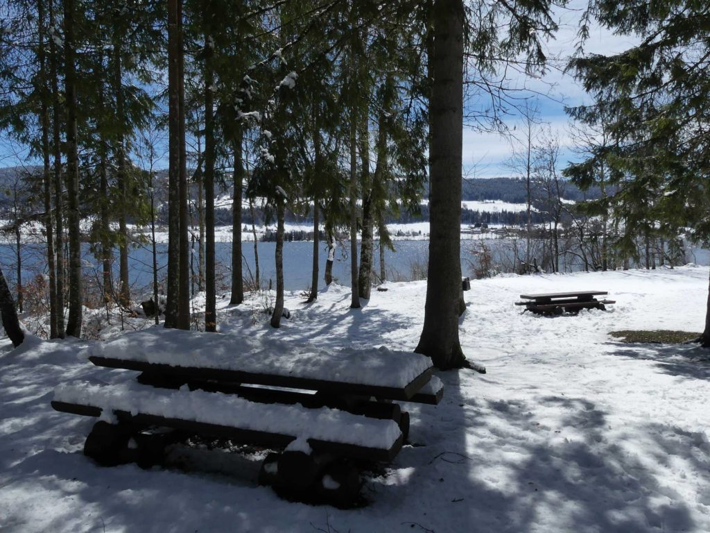 banc-933