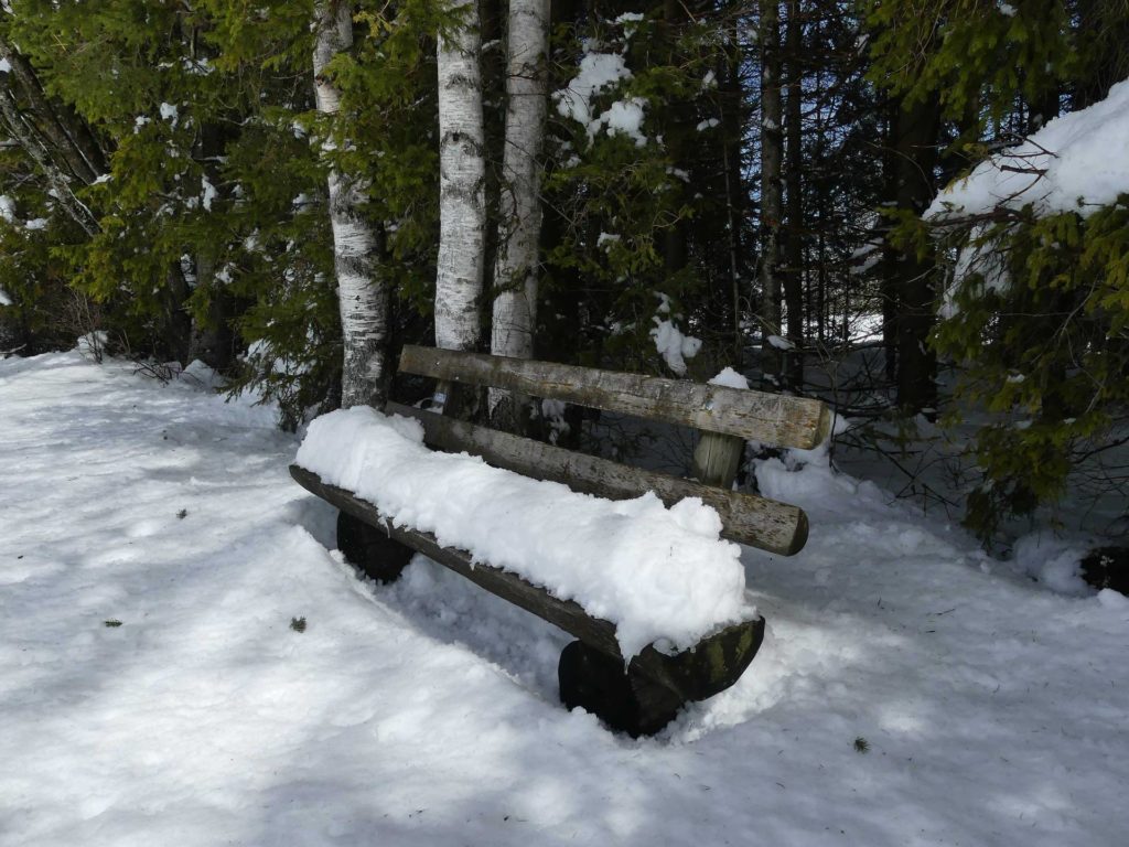 banc-944
