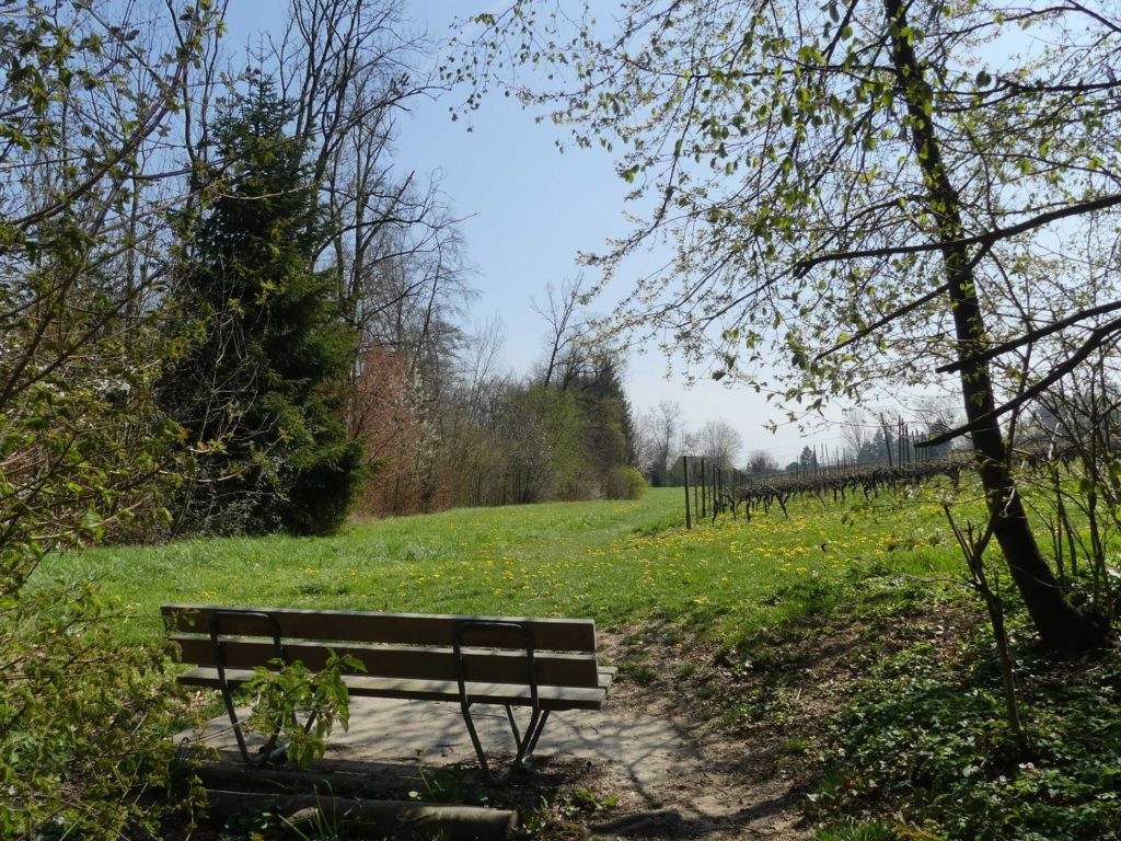 banc-949