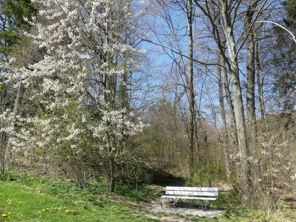 banc-950