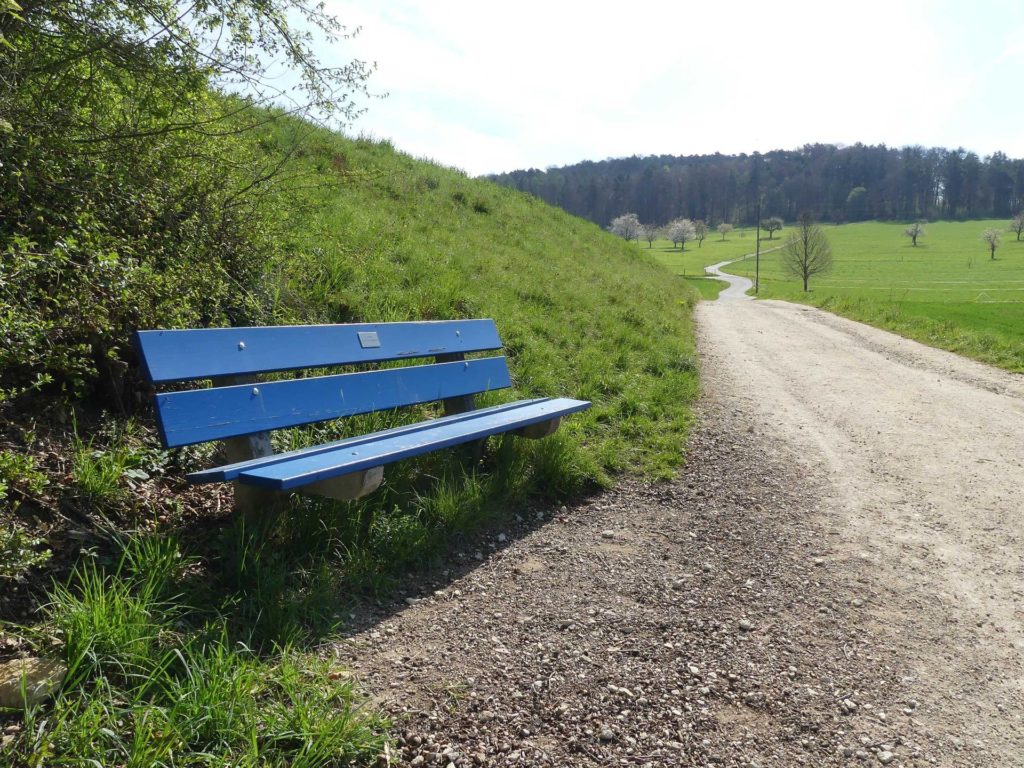 banc-953