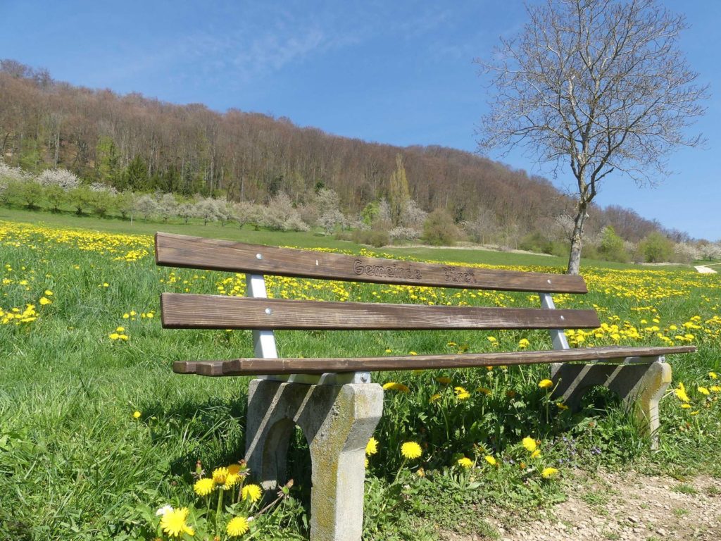 banc-956