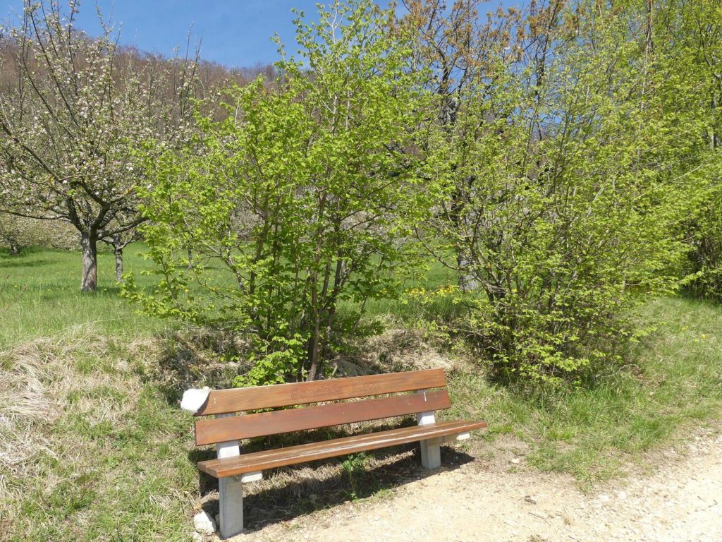 banc-957