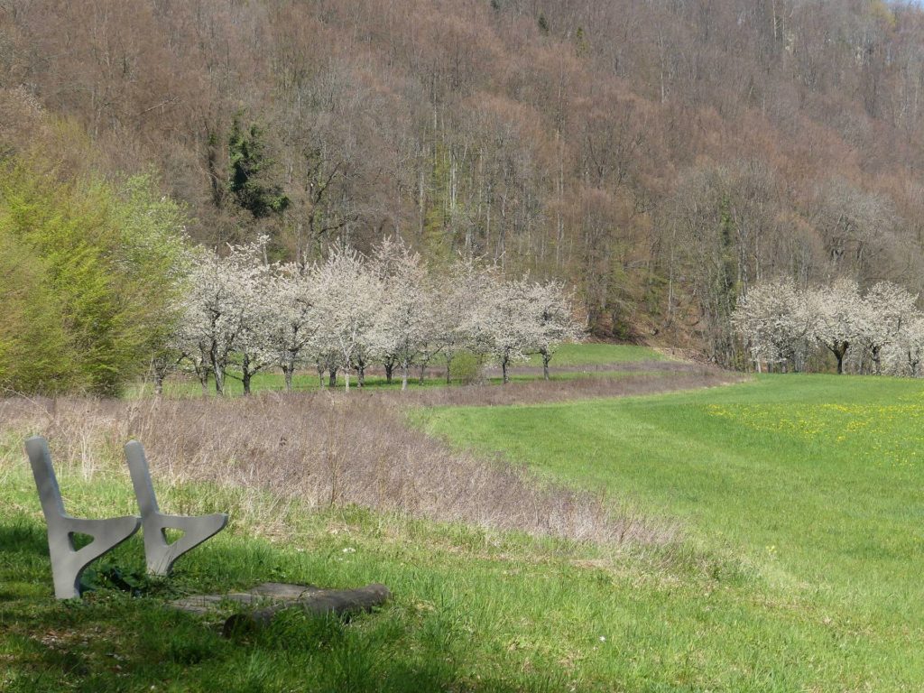 banc-960