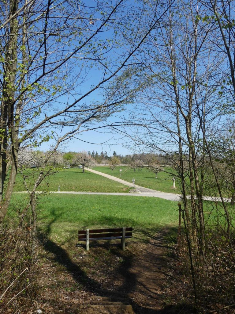 banc-962