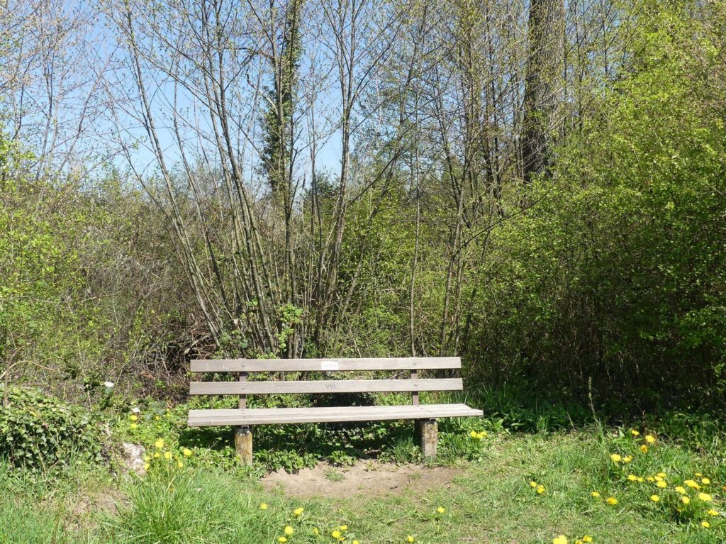banc-964
