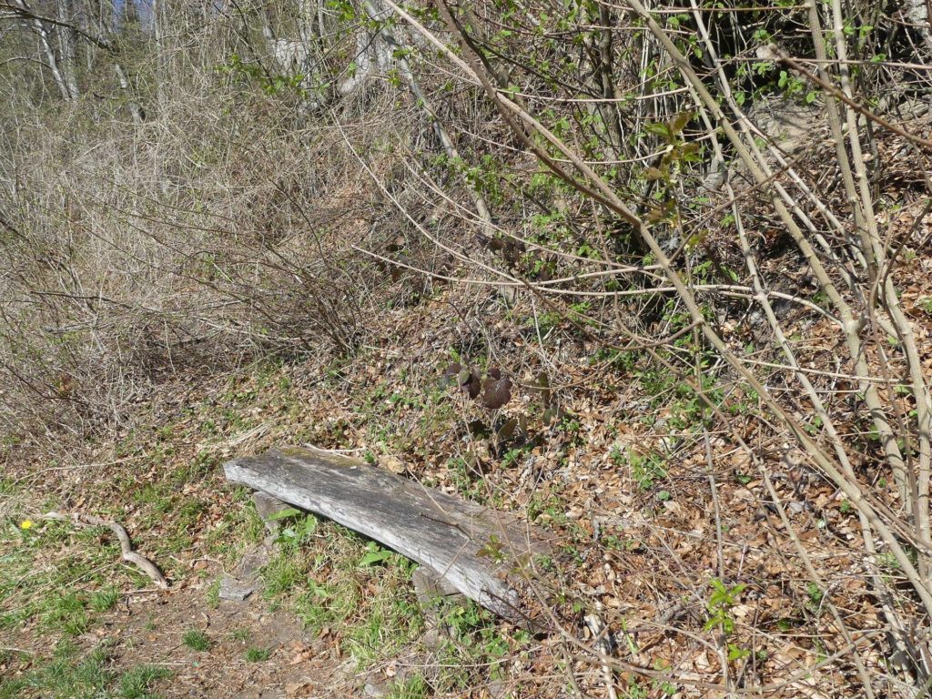 banc-968