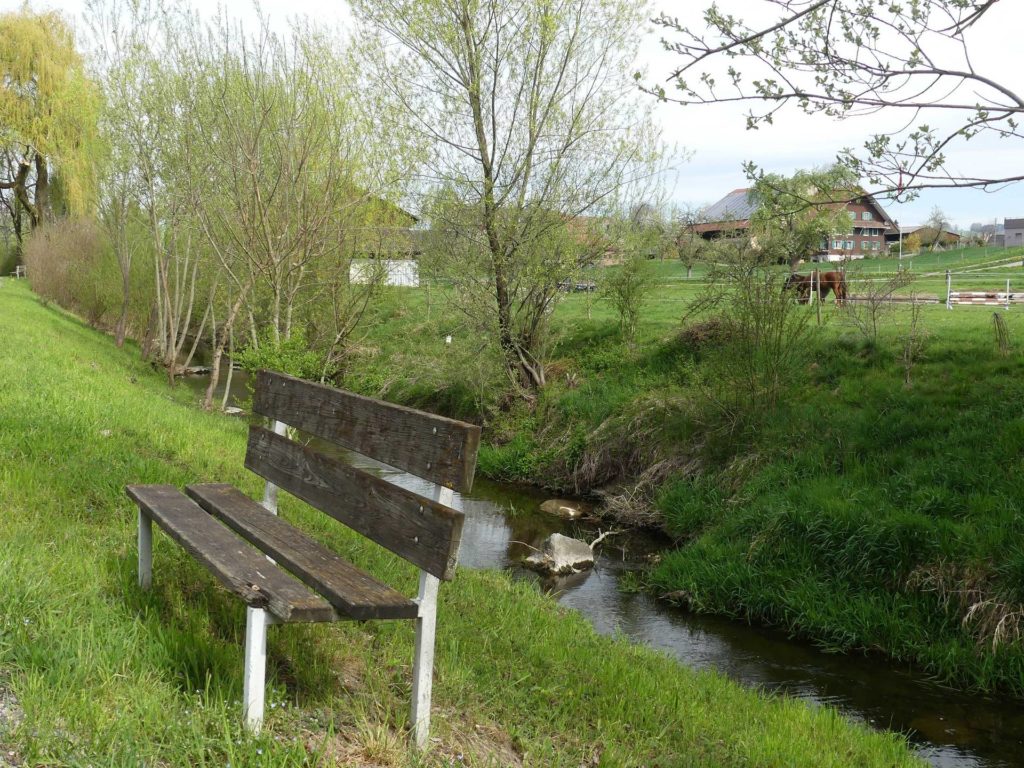 banc-975