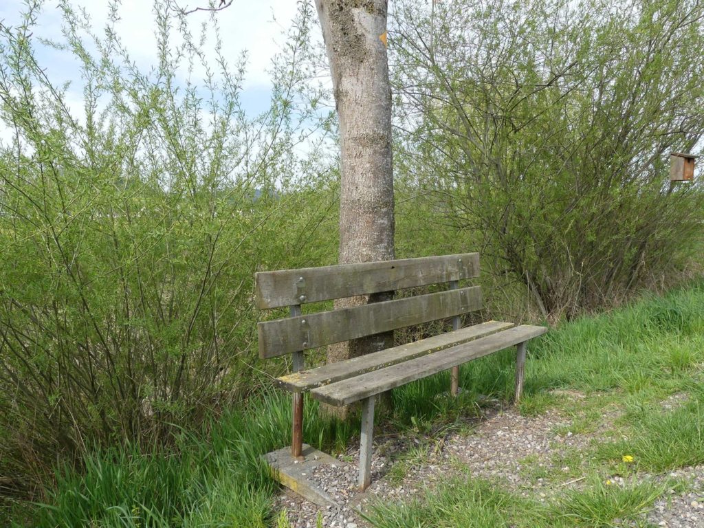 banc-976