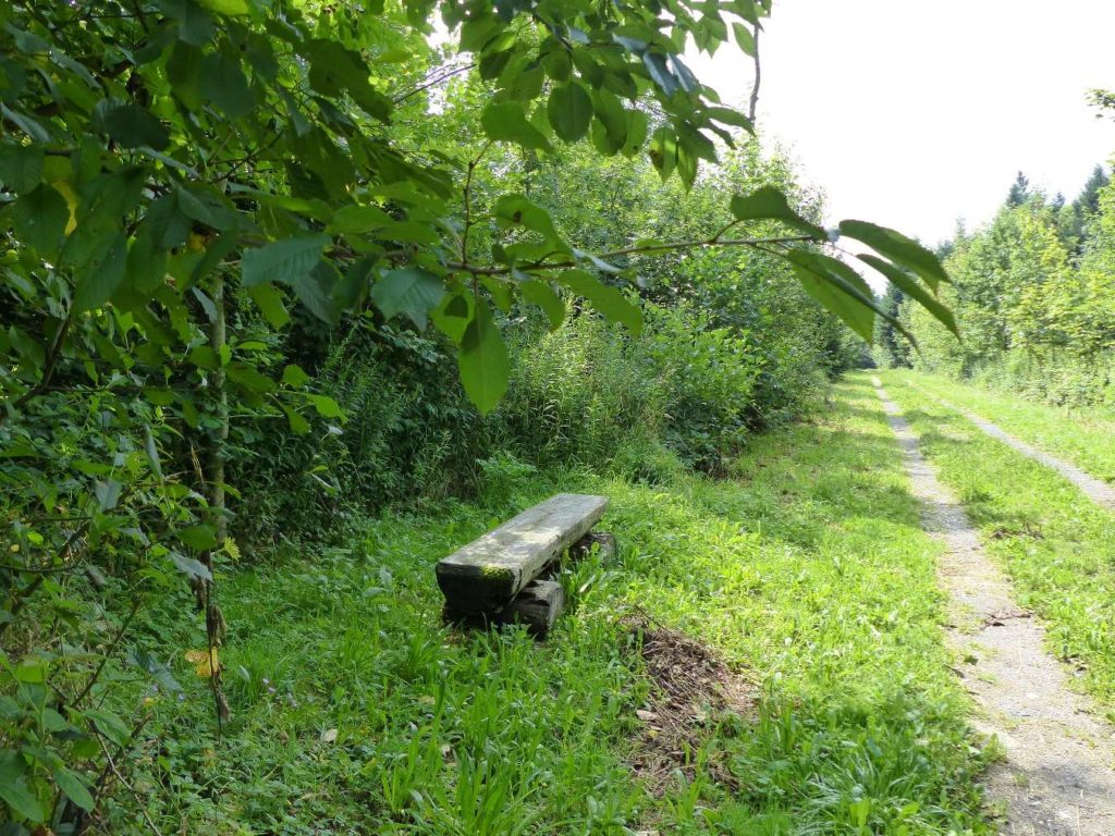 banc-98