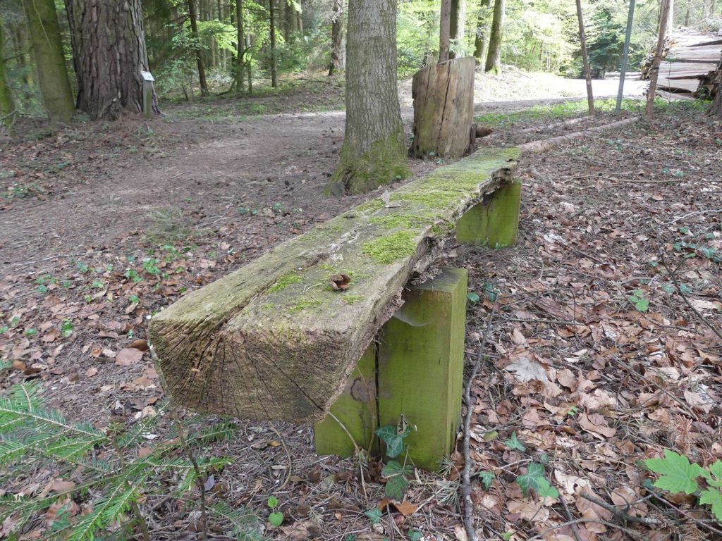 banc-984
