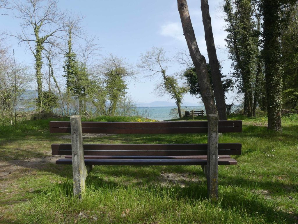 banc-986