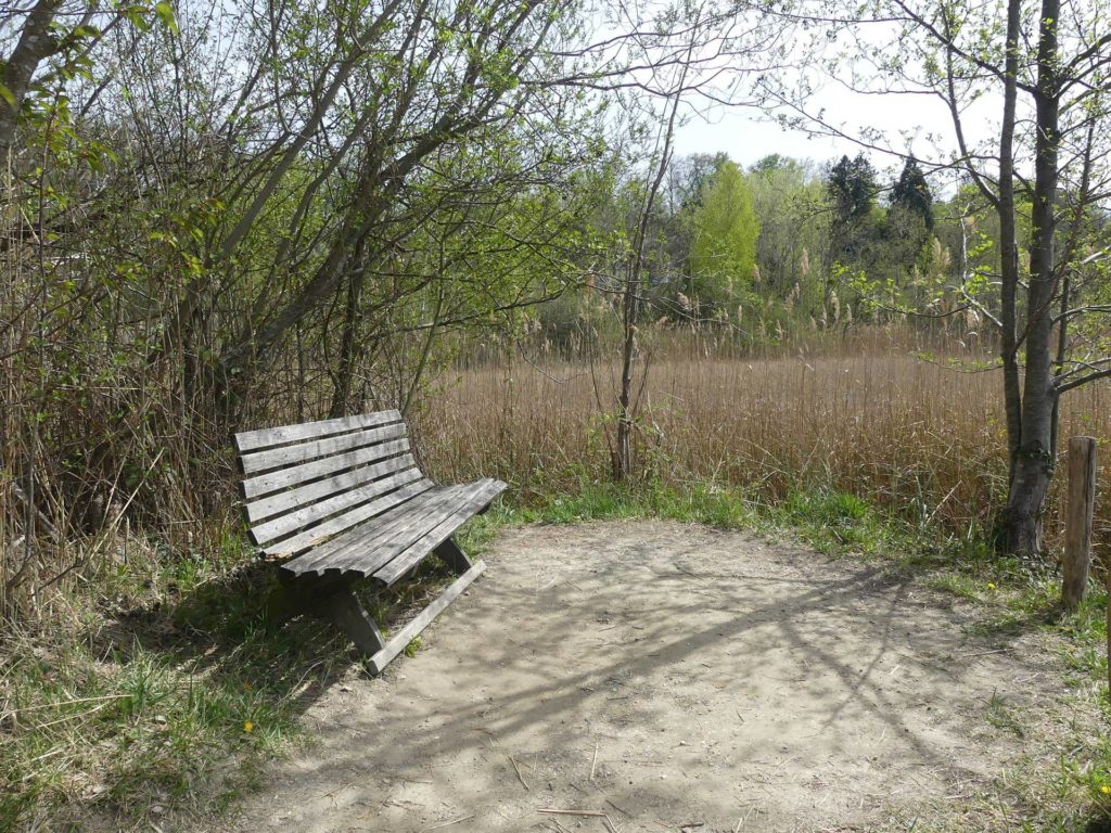 banc-991