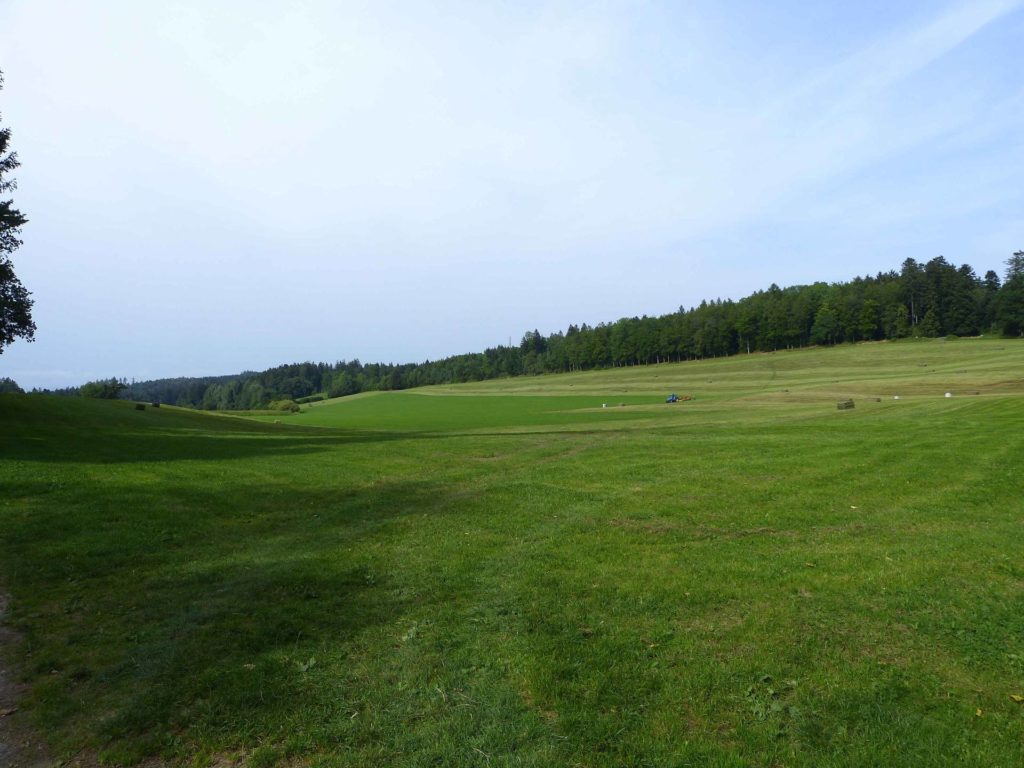 chalet-a-gobet-clochatte-102